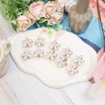 10개입 진주 미니 집게핀 여성 헤어 머리핀 반묶음 앞머리 옆머리 사이드핀 세트 - 이미지 7