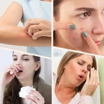 무선 진드기 제거기 가정용 침구 청소기 코드리스 핸드헬드 머신 딥 로봇 진드기 청소기 - 이미지 2